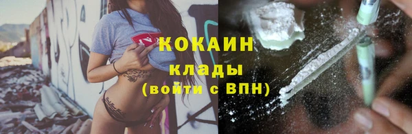 спайс Аркадак