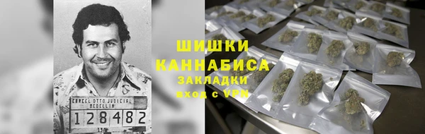 шишки Армянск