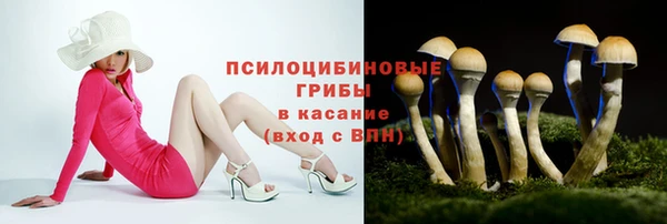 спайс Аркадак