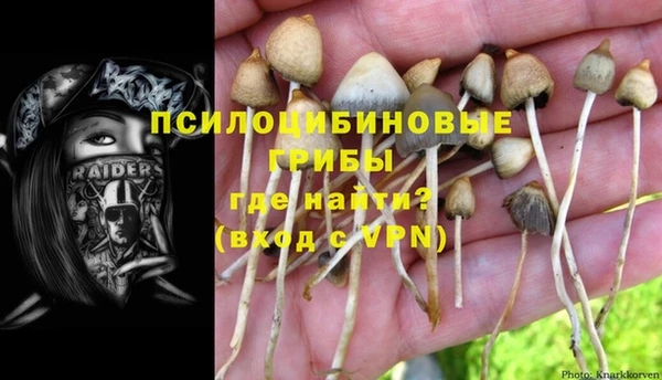 спайс Аркадак