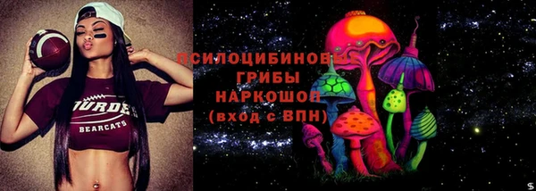 спайс Аркадак