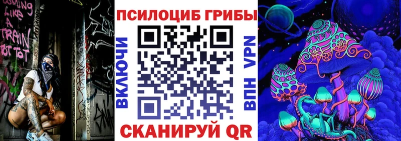 мега как зайти Салаир Галлюциногенные грибы Psilocybine cubensis купить наркотики сайты
