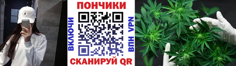 наркошоп  Салаир  Конопля тримм 